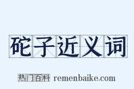 砣子近义词是什么意思的图片